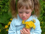 Kaleigh_dandelion1