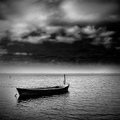 Loneliness