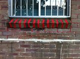 Sd12_red_segal