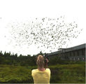 Sd12_grey_nerman