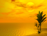 Sd12_yellow_murphy