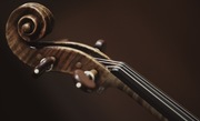 Sd12_brown_kim