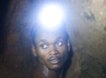 Fidele2_pidgey
