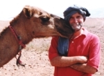 Camel_pidgey