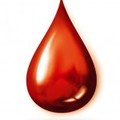 Blood_pidgey