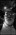 1777984464538_2.thumb