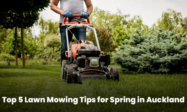 Top 5 Lawn Mowing Tips for Spring in Auckland | Garden Expert Top 5 Lawn Mowing Tips for Spring in Auckland | Garden Expert