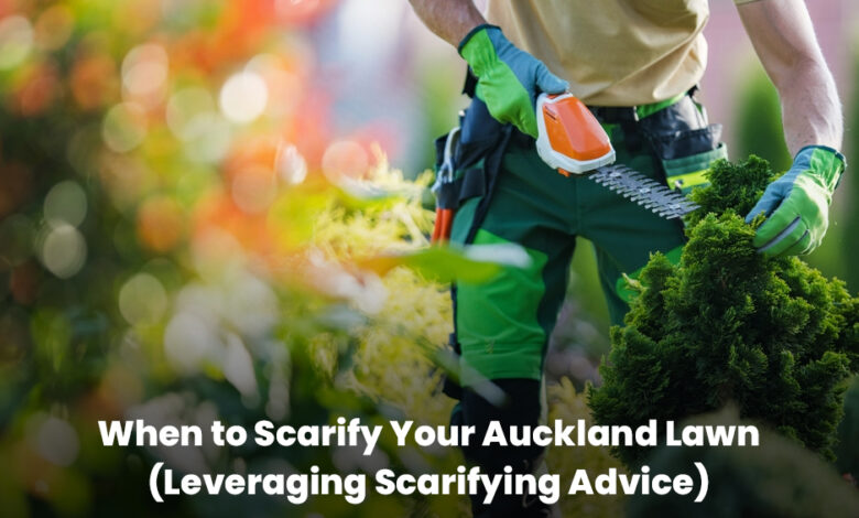 When to Scarify Your Auckland Lawn (Leveraging Scarifying Advice) When to Scarify Your Auckland Lawn (Leveraging Scarifying Advice)