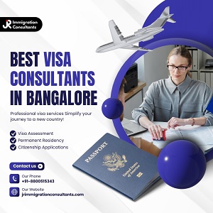 Who Are Visa Consultants and What Services Do They Offer Who Are Visa Consultants and What Services Do They Offer