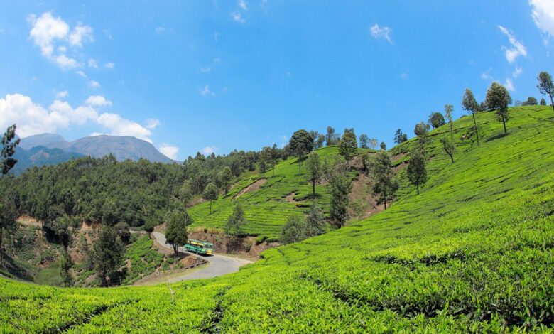 Explore Nature with Munnar and Thekkady Tour Package Today Explore Nature with Munnar and Thekkady Tour Package Today