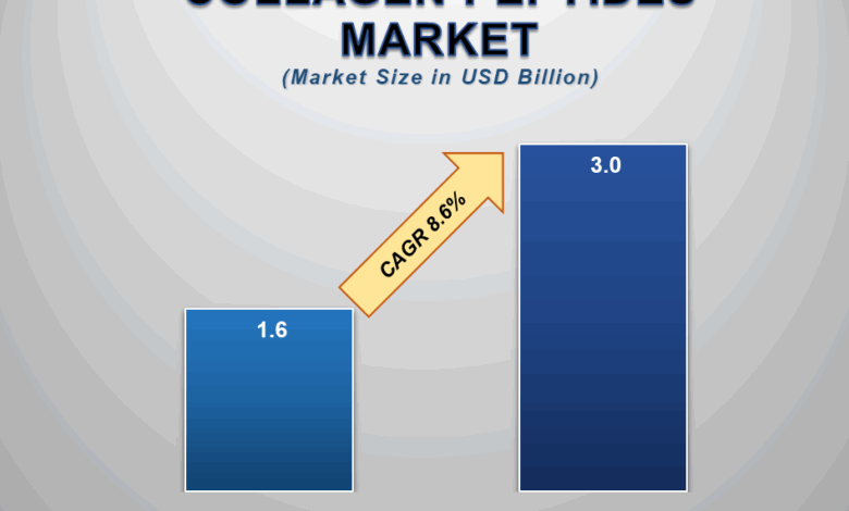 Key Factors Boosting the Global Collagen Peptides Market Growth Key Factors Boosting the Global Collagen Peptides Market Growth