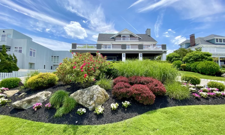 How a landscaping contractor can design a beautiful and pet-friendly backyard How a landscaping contractor can design a beautiful and pet-friendly backyard