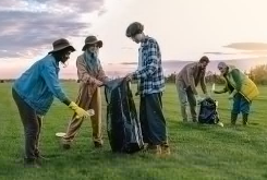 How Often Should You Schedule Landscape Cleanup for Best Results? How Often Should You Schedule Landscape Cleanup for Best Results?