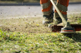 5 Common Lawn Care Mistakes and How Ground Effects Landscaping Fixes Them 5 Common Lawn Care Mistakes and How Ground Effects Landscaping Fixes Them