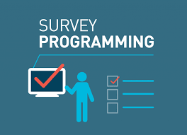 Why Professional Survey Programming Matters for Accurate Market Research Why Professional Survey Programming Matters for Accurate Market Research