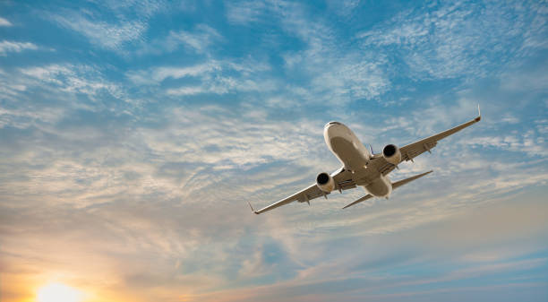 Max Air LOS Terminal: Location, Check-In & Flight Information Max Air LOS Terminal: Location, Check-In & Flight Information
