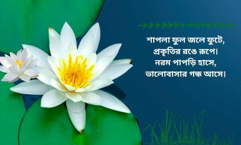 ফুল নিয়ে ক্যাপশন: সৌন্দর্য, ভালোবাসা ও অনুভূতির রঙে ভরা শব্দের খেলা ফুল নিয়ে ক্যাপশন: সৌন্দর্য, ভালোবাসা ও অনুভূতির রঙে ভরা শব্দের খেলা