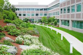 Why Commercial Landscaping Services Matter for Modern Businesses Why Commercial Landscaping Services Matter for Modern Businesses