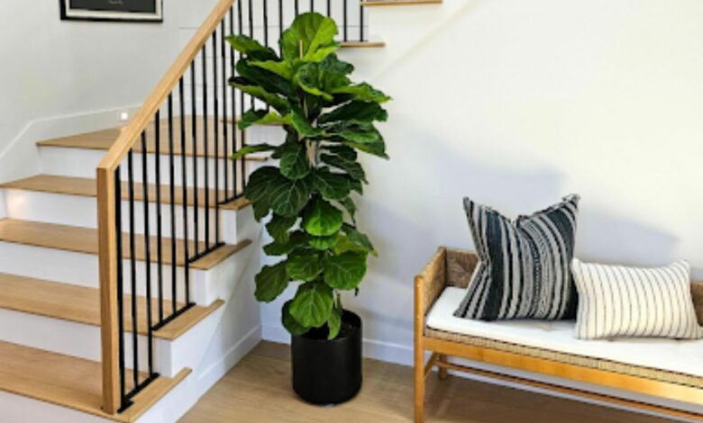 Why Skilled Stair and Railing Contractors Make All Difference Why Skilled Stair and Railing Contractors Make All Difference