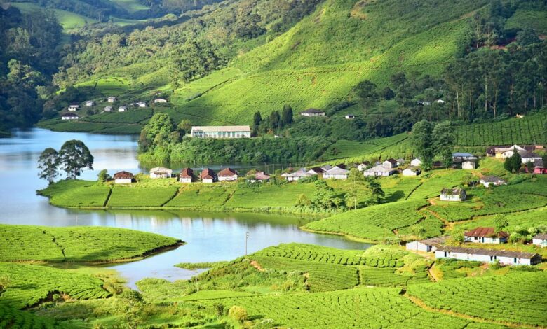 Cab Service in Munnar | Munnar Taxi Service Cab Service in Munnar | Munnar Taxi Service