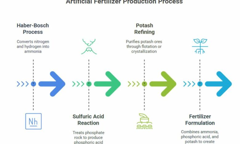 Are Petroleum Products Used in Synthetic Fertilizer Production? Are Petroleum Products Used in Synthetic Fertilizer Production?