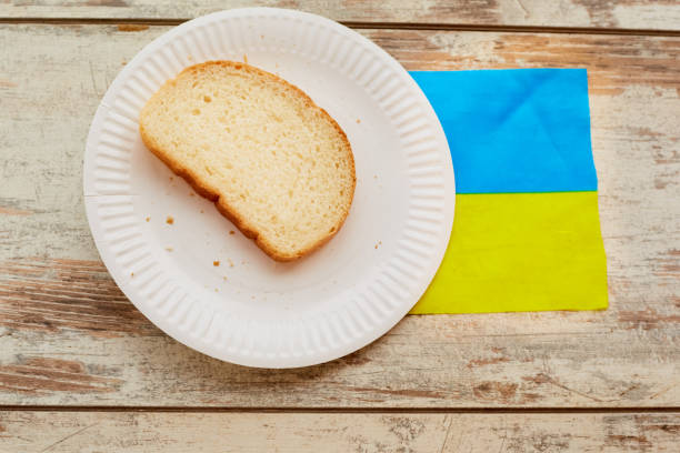 Why Bread Improvers Are Becoming Essential for Modern U.S. Bakeries Why Bread Improvers Are Becoming Essential for Modern U.S. Bakeries