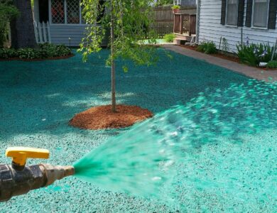 The Best Time of Year for Hydroseeding North Texas Properties The Best Time of Year for Hydroseeding North Texas Properties