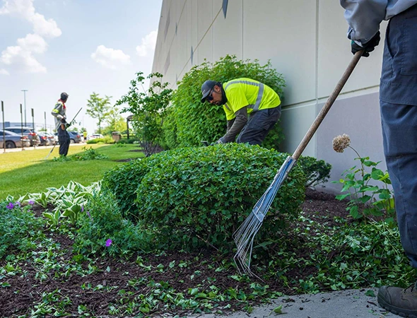 What Seasonal Yard Care Looks Like in Oneonta What Seasonal Yard Care Looks Like in Oneonta