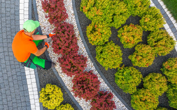Why Do Landscapers Love Creating Beautiful Gardens? Why Do Landscapers Love Creating Beautiful Gardens?