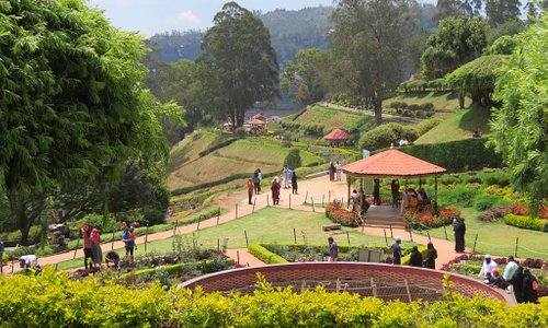 Taxi from Bangalore to Ooty | Check Taxi Fare & Book Online Taxi from Bangalore to Ooty | Check Taxi Fare & Book Online