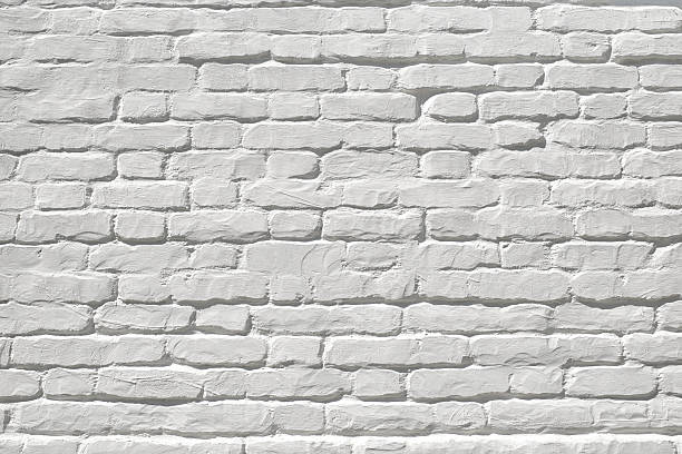 Mineral Primer Guide: Preparing Surfaces for Potassium Silicate Paint Mineral Primer Guide: Preparing Surfaces for Potassium Silicate Paint