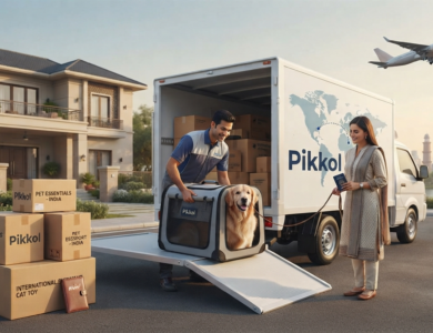 How Can You Prepare Your Pet for a Safe Relocation? How Can You Prepare Your Pet for a Safe Relocation?