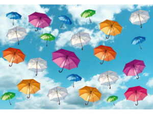 An Umbrella Is Not an Accessory. It Is a Small Roof Above Your Life. An Umbrella Is Not an Accessory. It Is a Small Roof Above Your Life.