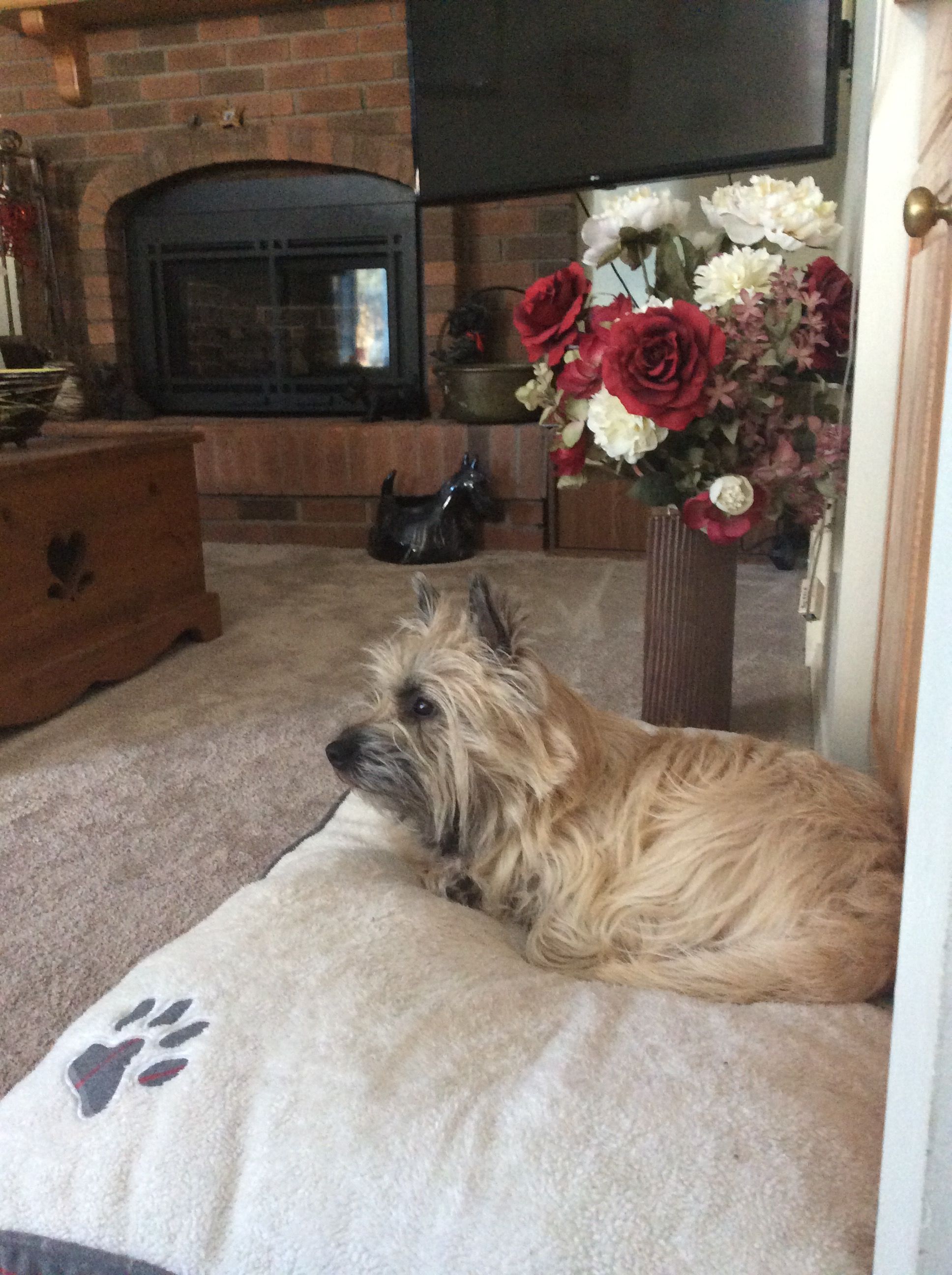 I think I am being stalked!