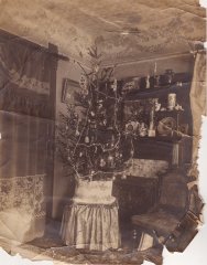 First Christmas tree