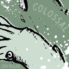 Levi Fuller - Colossal