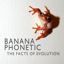 Banana Phonetic - The Facts of Evolution