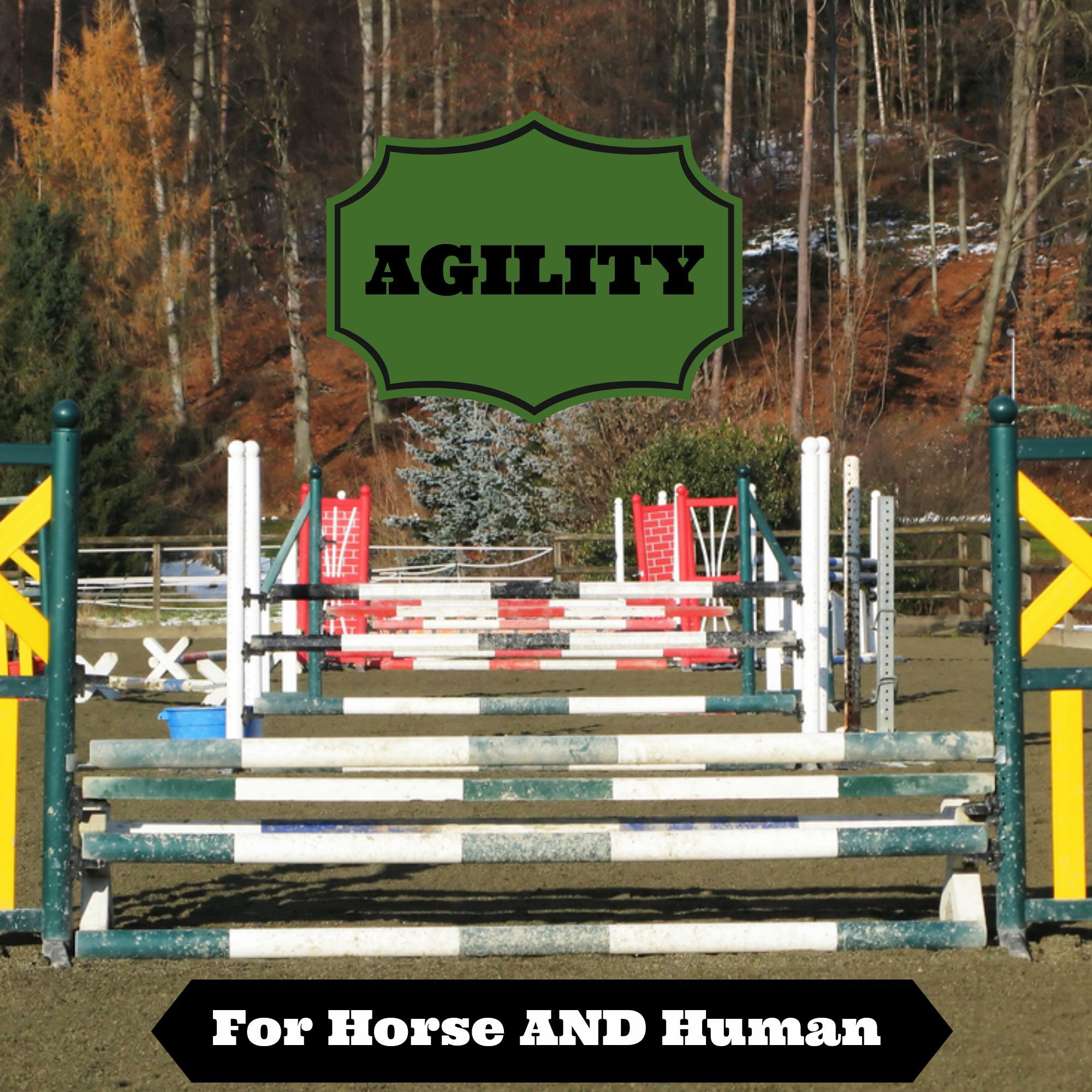 Agility training is often thought of as a kind of training for tennis