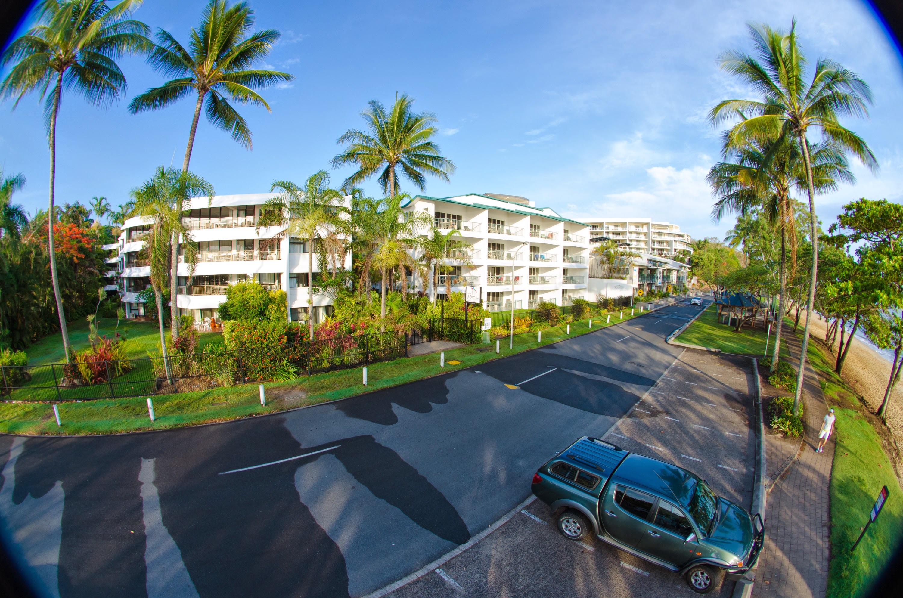 Here S A Pretty Tropical Flower For You Www Trinitybeachfront Com Au For Trinity Beach Accommodation Trini Trinity Beach Beach Accommodation Tropical Holiday Here S A Pretty Tropical Flower For You Www Trinitybeachfront Com Au For Trinity Beach Accommodation Trini Trinity Beach Beach Accommodation Tropical Holiday