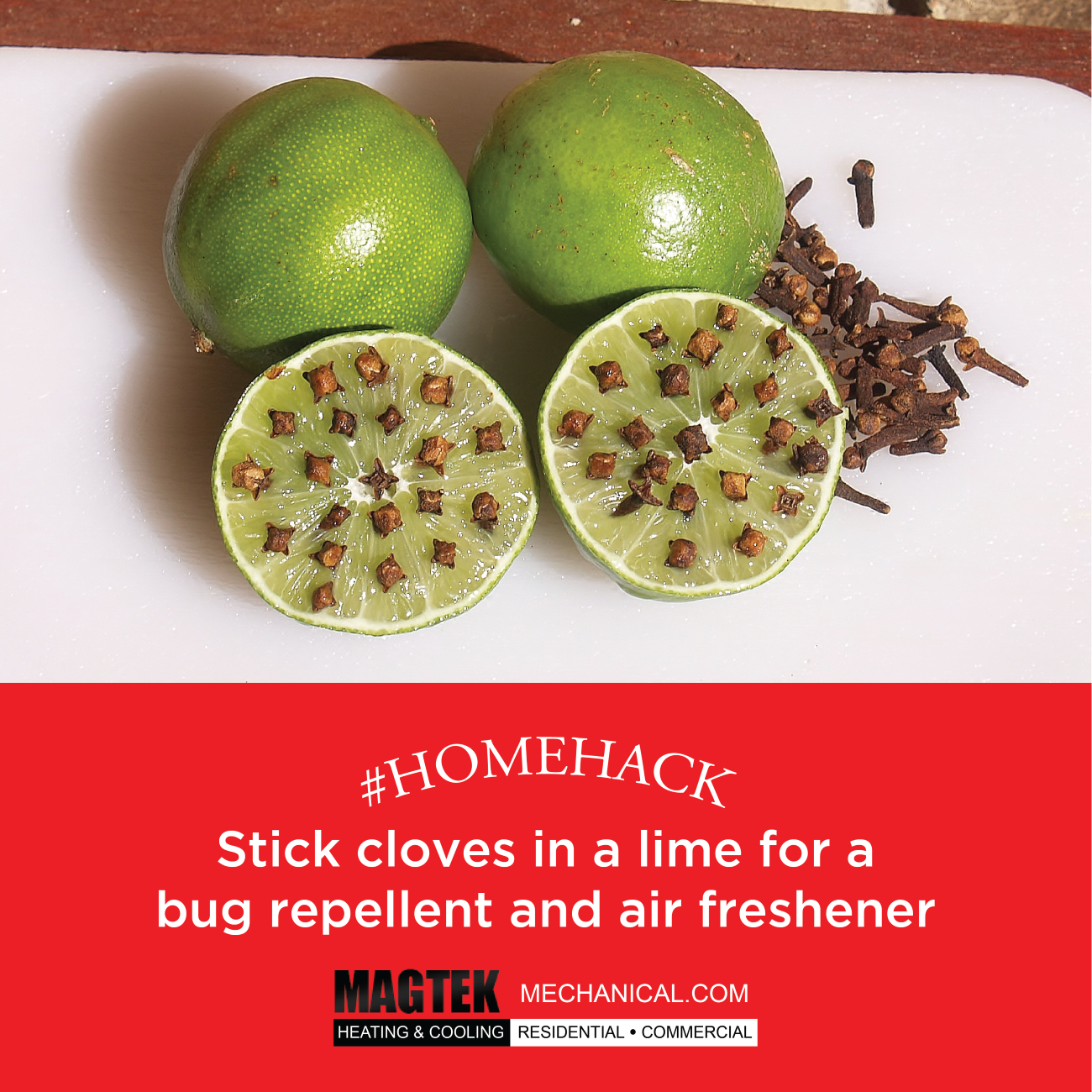 Sticking cloves in a lime makes for a great bug repellent and air