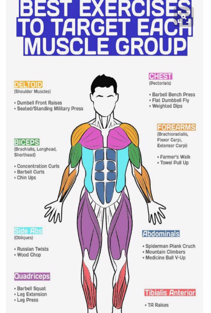 Thanks to #LerciusFitnessStudio for helping us to connect the right