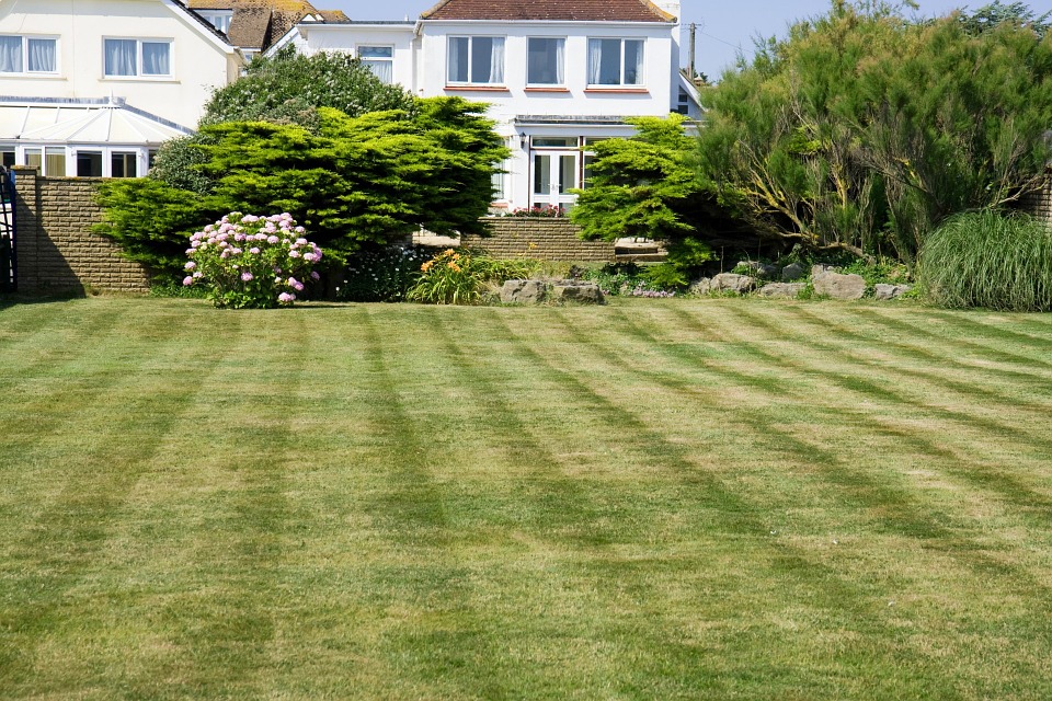 Didyouknow The Average Lawn Size For A Home Is 1 5 Of An Acre Funfact What Are Your Plans This 4thofjuly Backyard Landscaping Lawn Maintenance Lawn Care
