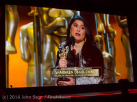 8711 Oscar Night on Vashon Island 2016 022816
