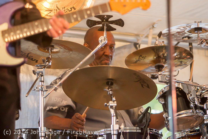 2040 Bill Brown King Bees Beer Garden 071914