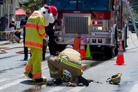 7065 VIFR Firefighter Challenge 2013 072013