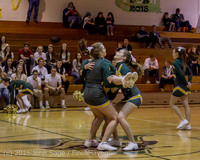 16439 VIHS Winter Cheer at Halftime BBall v Sea-Chr 010915