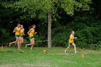 19599 Cross Country All-League Meet 091515