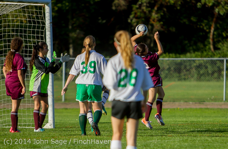 5935 Girls JV Soccer v NW-School 100814