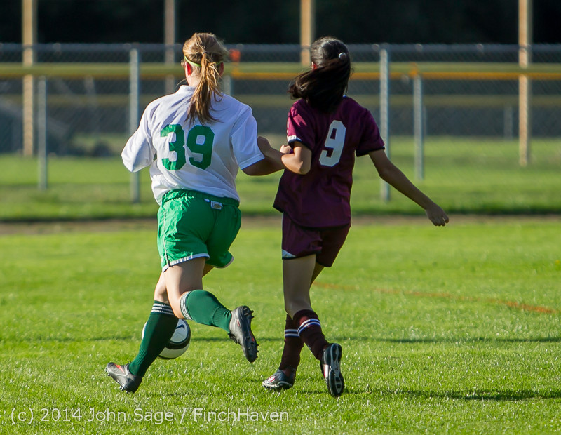 6009 Girls JV Soccer v NW-School 100814