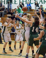 18225 Girls Varsity Basketball v CWA 01172014